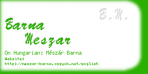 barna meszar business card